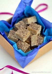 Vanilla Bean Almond Butter Fudge by Dreena Burton, Plant-Powered Kitchen. Photo credit: Emma Potts, coconutandberries.com