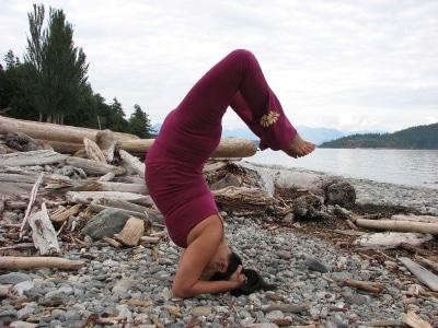 Squeezed Yoga Clothing via Plant-Powered Kitchen