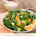 Creamy Orange Salad Dressing #dairyfree #vegan #oilfree #glutenfree #healthy #salads www.plantpoweredkitchen.com