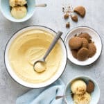 Vegan Pumpkin Pie Ice Cream (Dairy-Free)