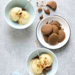 Vegan Pumpkin Pie Ice Cream (Dairy-Free)